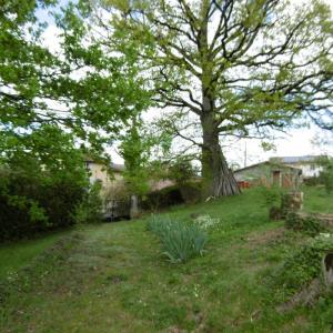 Acheter Maison Courpiere Puy de dome