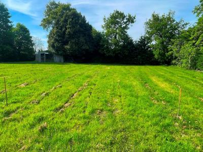 Acheter Terrain 629 m2 Montfort-sur-meu