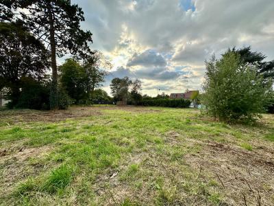 For sale Barbizon Seine et marne (77630) photo 3