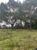 For sale Land Saint-medard-en-jalles  1000 m2