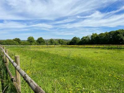 For sale Saint-martin-du-vieux-belleme 6 rooms 230 m2 Orne (61130) photo 2