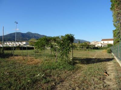 Annonce Vente Terrain Maureillas-las-illas 66