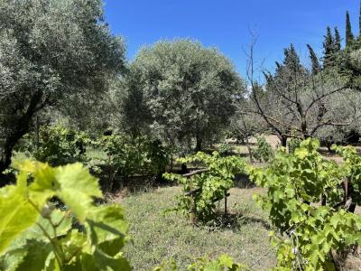 Acheter Terrain Alleins Bouches du Rhone