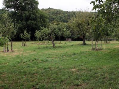 For sale Mourjou 220 m2 Cantal (15340) photo 2