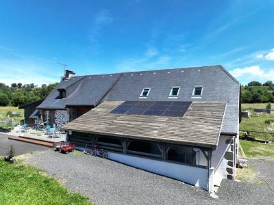 Acheter Local commercial 248 m2 Saint-martin-valmeroux