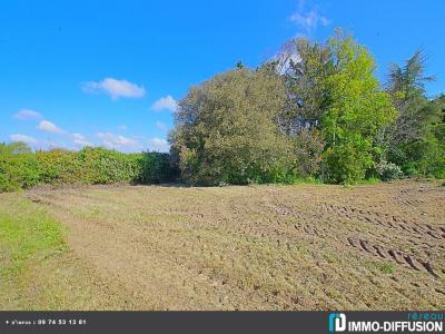 For sale LA SALAIRE Vendee (85340) photo 0