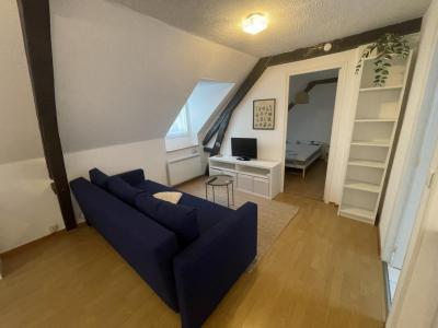 Louer Appartement Pau Pyrenees atlantiques