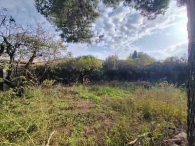 Annonce Vente Terrain Marseillan 34