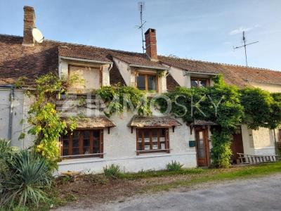 Annonce Vente 5 pices Maison Ferrieres 45