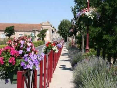 Acheter Terrain Ferrals-les-corbieres Aude