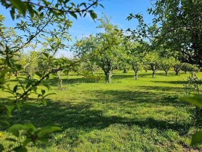 For sale Maurrin 6 rooms 148 m2 Landes (40270) photo 4