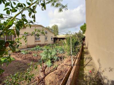 Acheter Maison Lezignan-corbieres Aude