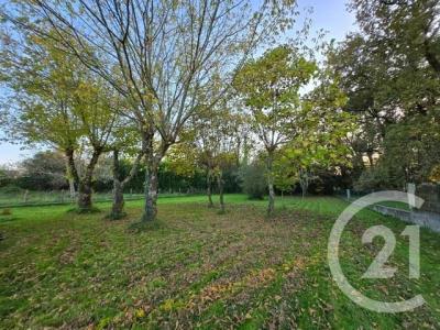 Annonce Vente 3 pices Maison Jau-dignac-et-loirac 33