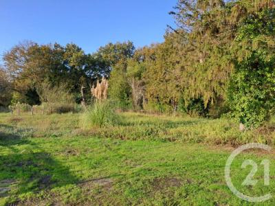 For sale Saint-vivien-de-medoc 2934 m2 Gironde (33590) photo 3