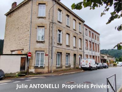 Annonce Vente Immeuble Seauve-sur-semene 43