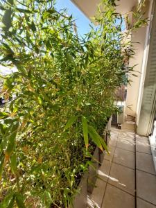 For sale Marseille-13eme-arrondissement 3 rooms 58 m2 Bouches du Rhone (13013) photo 1