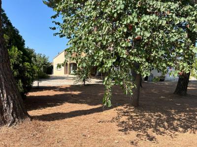 For sale Saint-andre-de-sangonis 8 rooms 160 m2 Herault (34725) photo 0