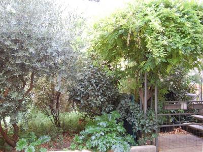 For sale Arles 2 rooms 48 m2 Bouches du Rhone (13200) photo 1