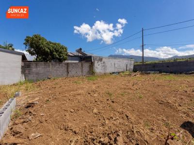 Annonce Vente Terrain Saint-pierre 974