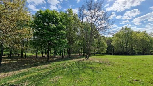 For sale Reole 8 rooms 370 m2 Gironde (33190) photo 2