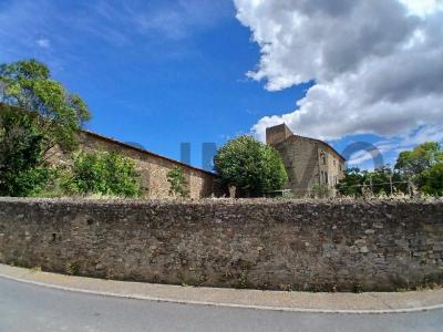 For sale Oupia 14 rooms 325 m2 Herault (34210) photo 1