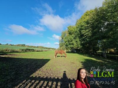 For sale Vendome 4 rooms 240 m2 Loir et cher (41100) photo 1