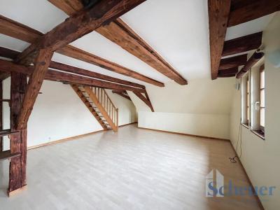 Annonce Vente 3 pices Appartement Molsheim 67