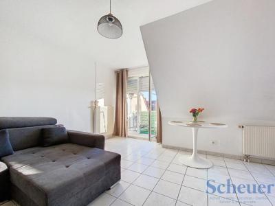 For sale Marlenheim 3 rooms 60 m2 Bas rhin (67520) photo 2