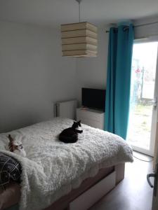 Annonce Location 3 pices Appartement Domene 38