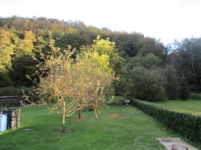 Acheter Maison Bogny-sur-meuse Ardennes