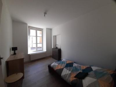 Louer Appartement Luxeuil-les-bains 496 euros