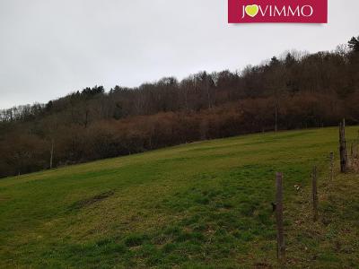 For sale Gelles Nature Puy de dome (63740) photo 0