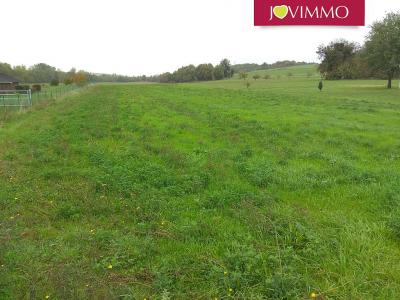 Annonce Vente Terrain Valdivienne 86