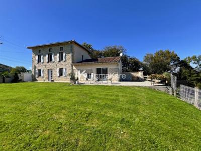 For sale Salies-du-salat 5 rooms 250 m2 Haute garonne (31260) photo 1