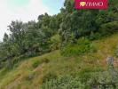 For sale Land Viscos 