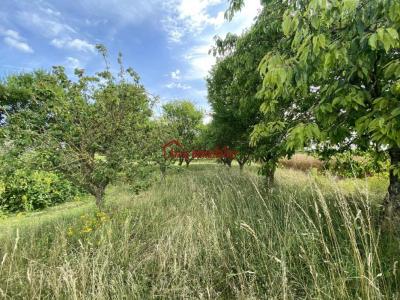 For sale Aubeterre 10-MINUTES-ARCIS-SUR-AUBE 6270 m2 Aube (10150) photo 1