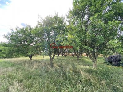 For sale Aubeterre 10-MINUTES-ARCIS-SUR-AUBE 6270 m2 Aube (10150) photo 2