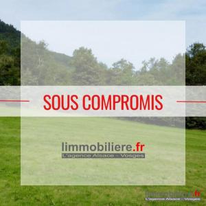 For sale Saint-die 1000 m2 Vosges (88100) photo 0