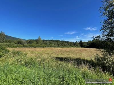 Annonce Vente Terrain Saulcy-sur-meurthe 88