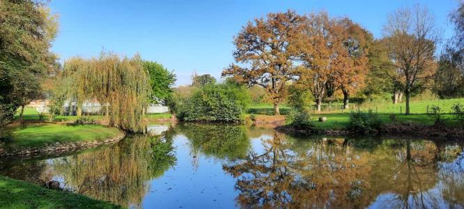 For sale Beaumont-pied-de-boeuf 5 rooms 106 m2 Mayenne (53290) photo 4