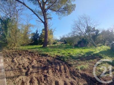 Annonce Vente Terrain Lesparre-medoc 33