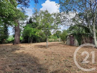 Acheter Terrain Lesparre-medoc 67500 euros