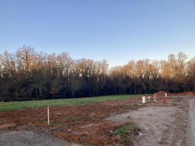 For sale Creon 400 m2 Gironde (33670) photo 2