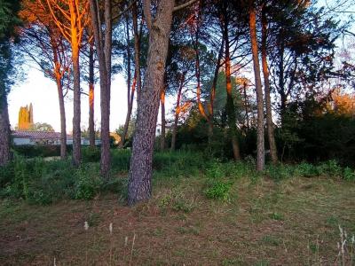 For sale Prades-le-lez 520 m2 Herault (34730) photo 0