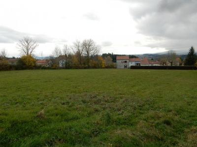 For sale Lapte 4994 m2 Haute loire (43200) photo 0