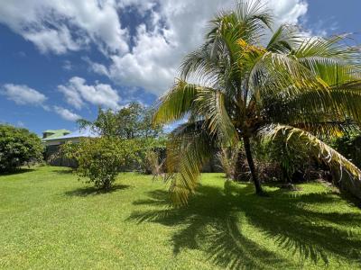 For sale Morne-a-l'eau 7 rooms 236 m2 Guadeloupe (97111) photo 0