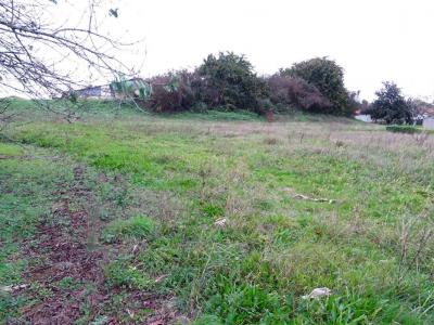 For sale Mugron 1918 m2 Landes (40250) photo 0