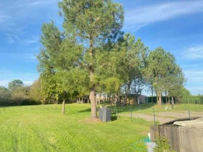 For sale Braud-et-saint-louis 5 rooms 145 m2 Gironde (33820) photo 3