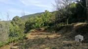 For sale Land Saint-paul-la-coste  6500 m2