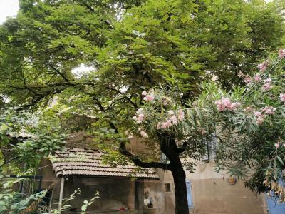 For sale Barjols 4 rooms 82 m2 Var (83670) photo 4